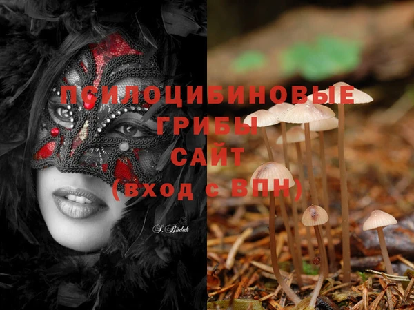 прущие крисы Михайловск