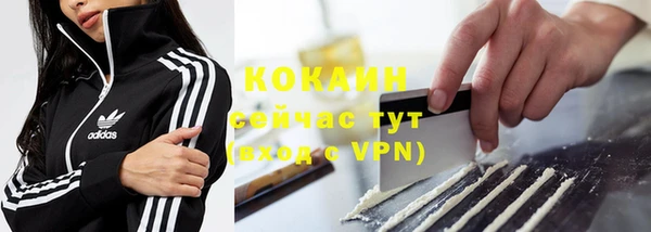 гашик Михайловка