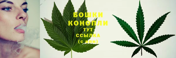 прущие крисы Михайловск